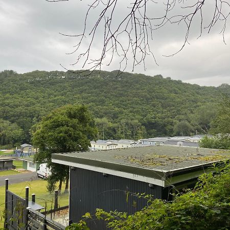 Ferienwohnung Forget-Me-Not 114 Woodlands Park New Quay New Quay  Exterior foto
