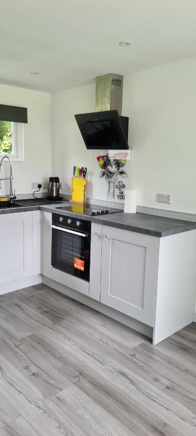 Ferienwohnung Forget-Me-Not 114 Woodlands Park New Quay New Quay  Exterior foto