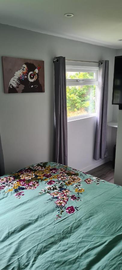 Ferienwohnung Forget-Me-Not 114 Woodlands Park New Quay New Quay  Exterior foto